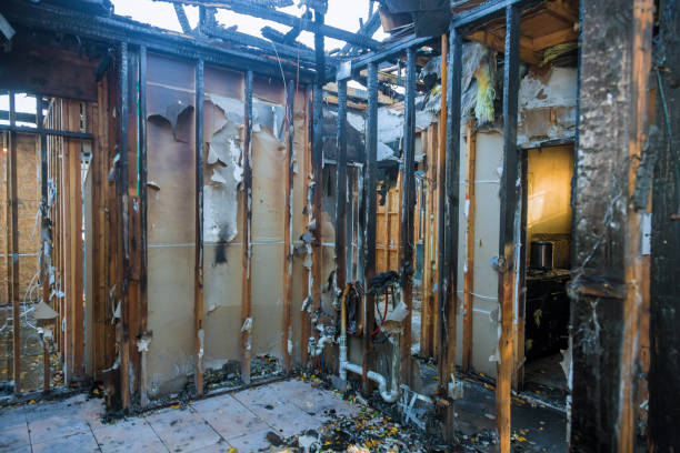 Professional Fire Damage Removal technician working in Annandale, MN