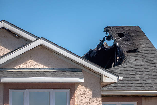 Top rated local Fire Damage Removal specialists in Annandale, MN